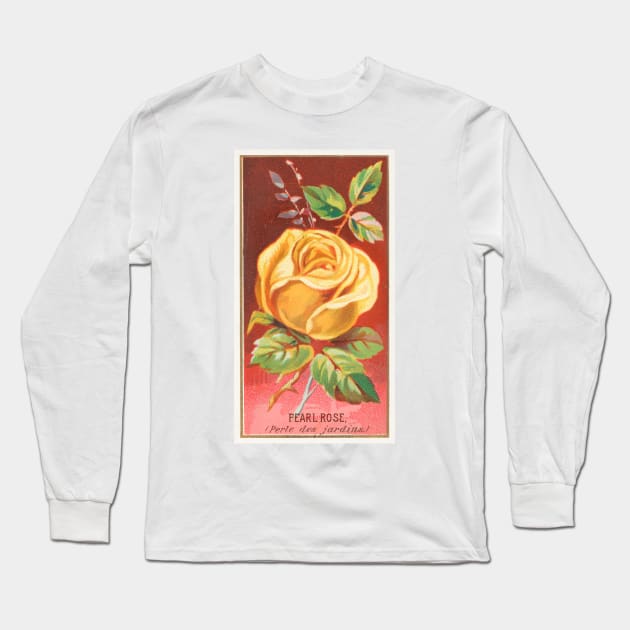 Pearl Rose (Perle des jardins) Long Sleeve T-Shirt by WAITE-SMITH VINTAGE ART